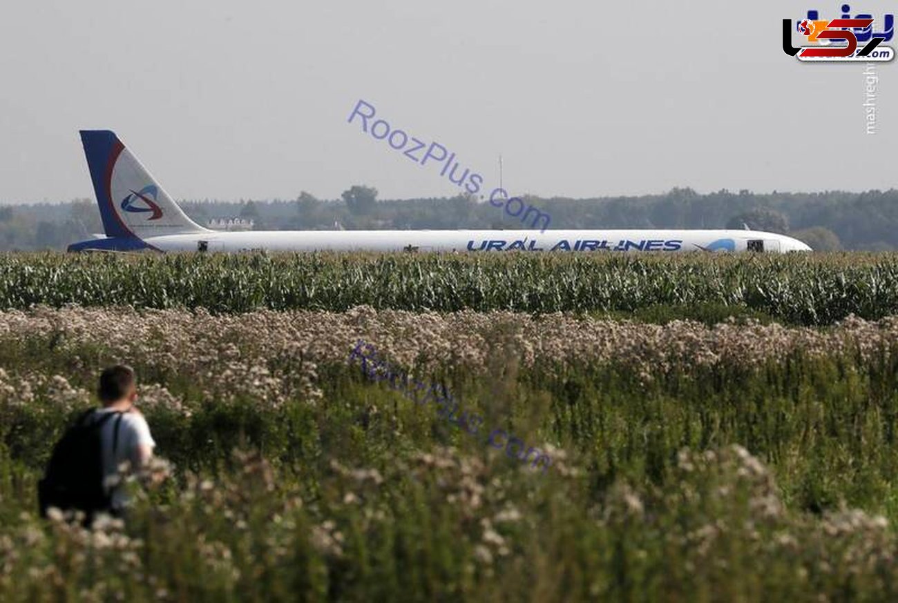 فرود اضطراری هواپیمای ایرباس در مزارع ذرت+عکس 