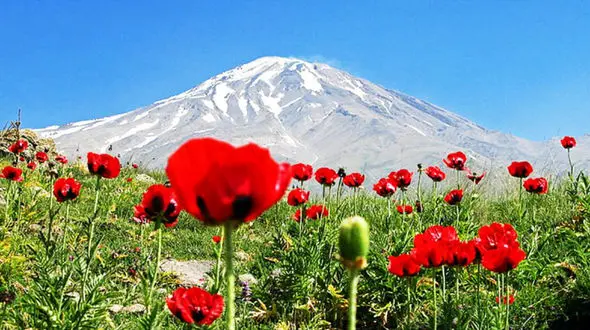 بارش برف در دماوند در گرمترین روز تابستان +فیلم