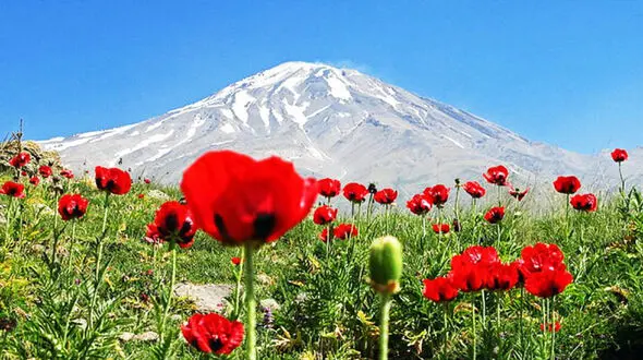 بارش برف در دماوند در گرمترین روز تابستان +فیلم