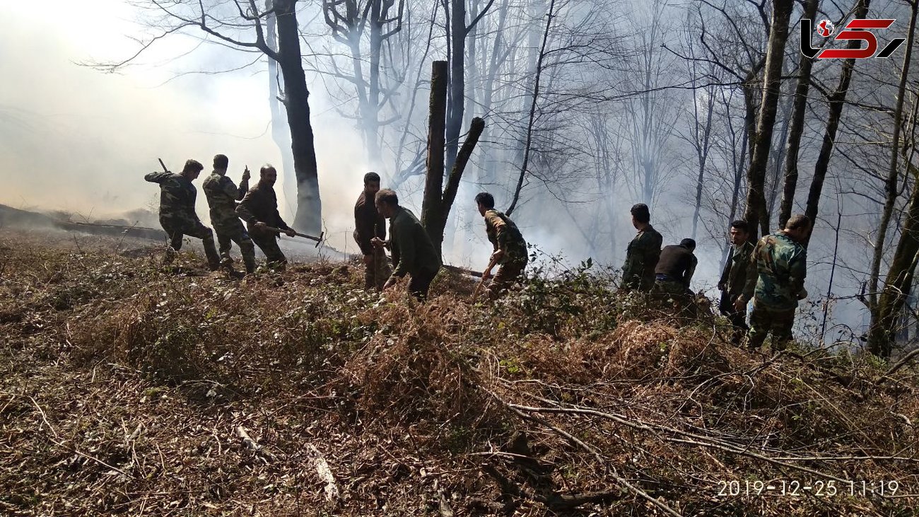 آتش‌ جنگل گلکویه زرین‌دشت را سوزاند