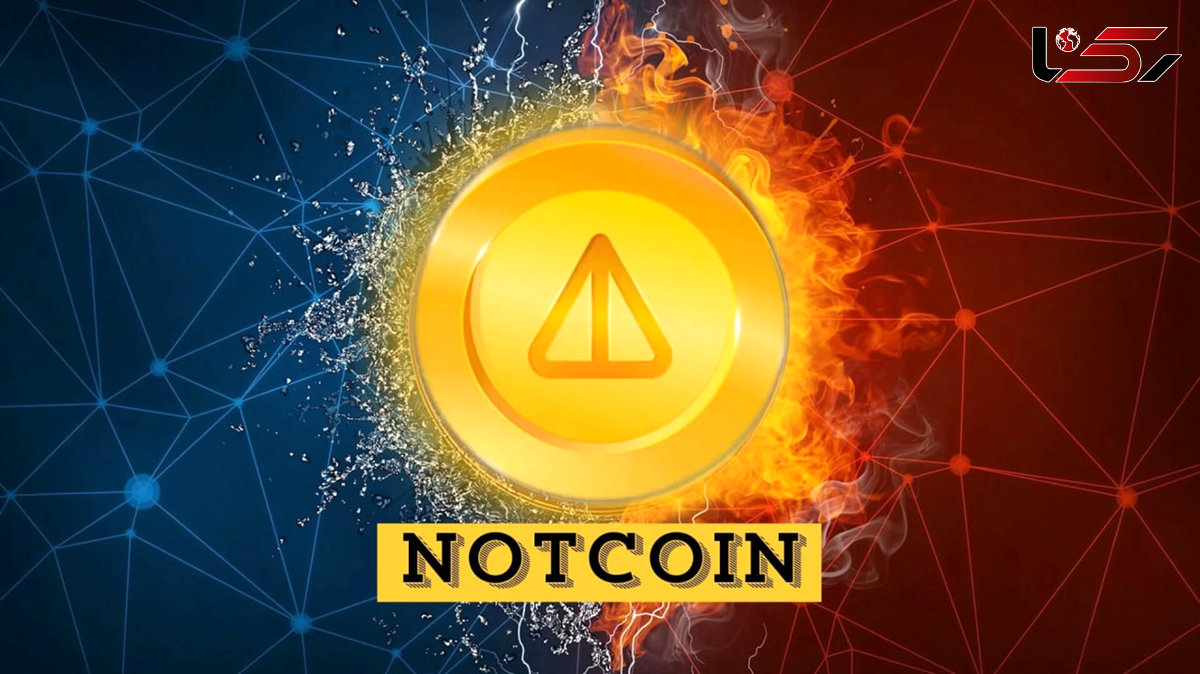 not coin چیست؟ / روش خرید و فروش نات کوین