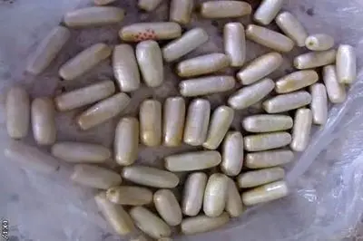 معده های این 3 مرد پراز هرویین بلعی بود