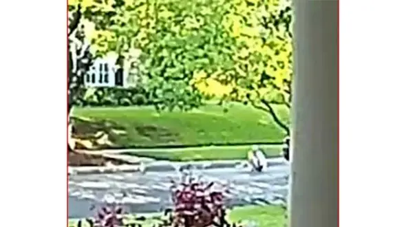 ربودن دختر ۸ ساله در مقابل چشمان مادرش + عکس