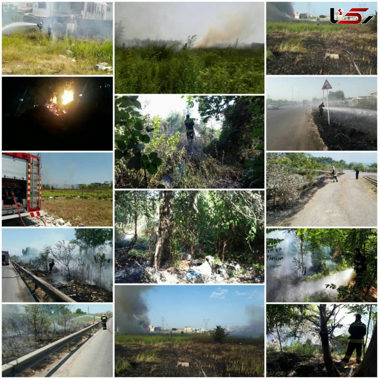 آتشسوزی در سه هکتار از جنگلها و علفزارها/به همراه فیلم و عکس