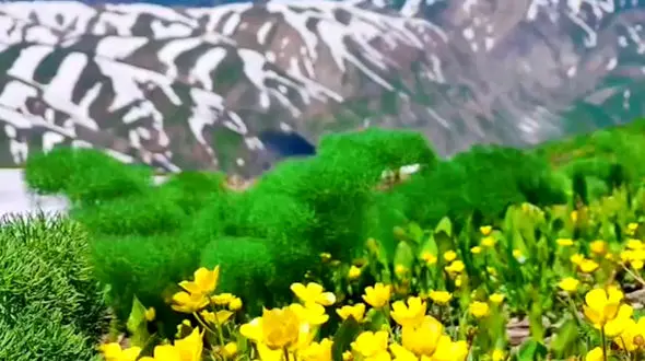 از فرا رسیدن بهار در قندیل تا زیبایی روستاهای ایران