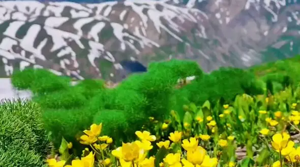 از فرا رسیدن بهار در قندیل تا زیبایی روستاهای ایران