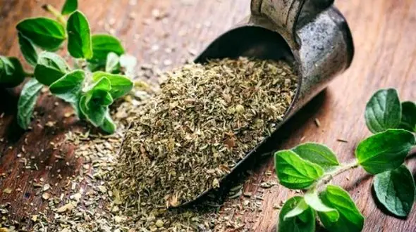 گیاهانی که سرفه را متوقف می‌ کنند و آرامش را به شما هدیه می‌ دهند!