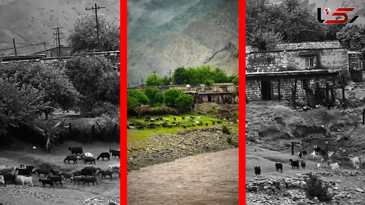 فیلم طبیعت بکر روستای تنگ 7 لرستان