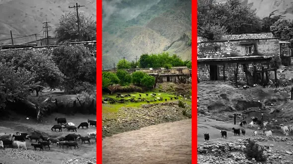 فیلم طبیعت بکر روستای تنگ 7 لرستان