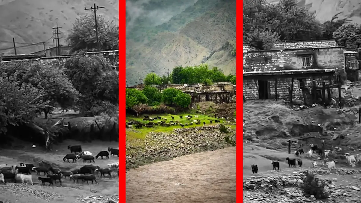 فیلم طبیعت بکر روستای تنگ 7 لرستان