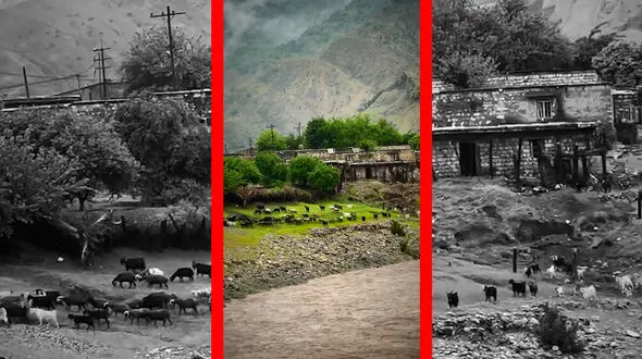 فیلم طبیعت بکر روستای تنگ 7 لرستان