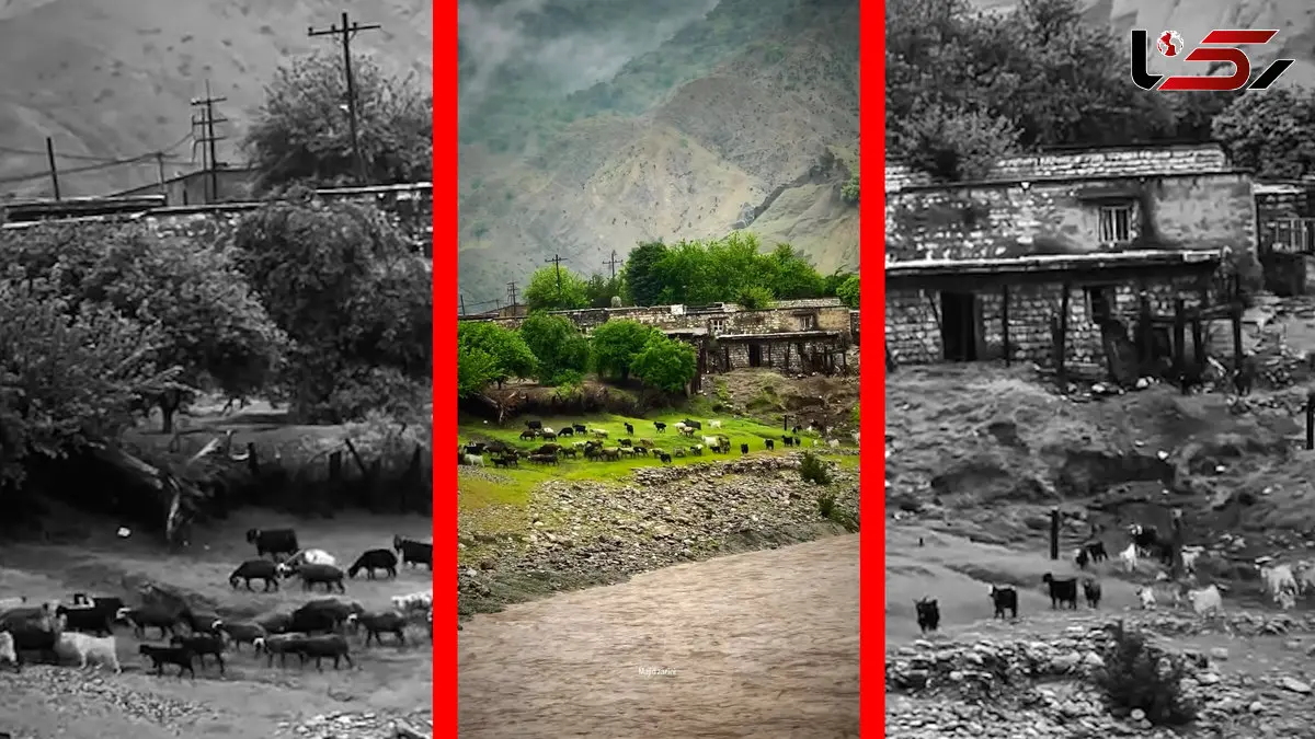 فیلم طبیعت بکر روستای تنگ 7 لرستان