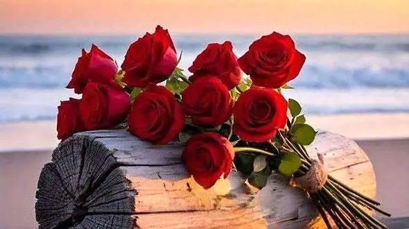 فال ابجد امروز 9 دی