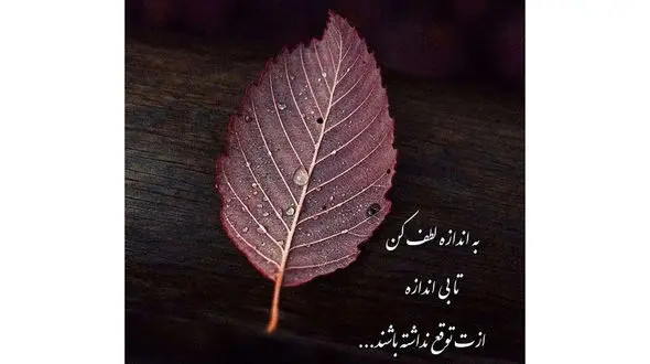 فال روزانه شخصی/ 22 مهر ماه 1402 + فیلم