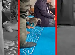 فیلم بازی گربه با نمازگزار در مسجد ترکیه