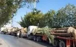 بلاتکلیفی 290 اصله نخل بعد از بازگشت به ایران / تاجر نخل ها به قطر دادگاهی می شود + صوت