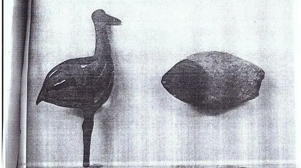 وسوسه گنج مرد روانسری را به دردسر انداخت + عکس