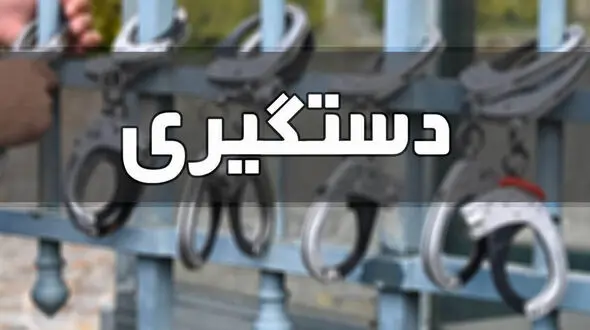حمله وحشت آور زورگیر خشن به دختربچه مشهدی / دزدان بی رحم دستگیر شدند
