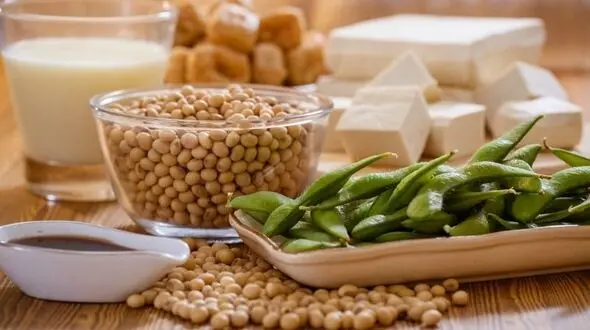 حفظ سلامتی عمومی بدن با رژیم غذایی سرشار از  استروژن