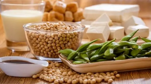 حفظ سلامتی عمومی بدن با رژیم غذایی سرشار از  استروژن