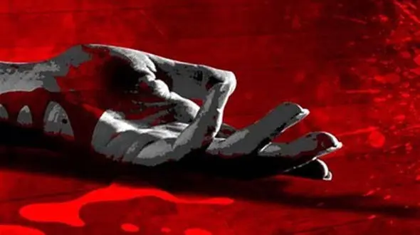 قتل دستفروش به هواخواهی از دختری که سگ داشت