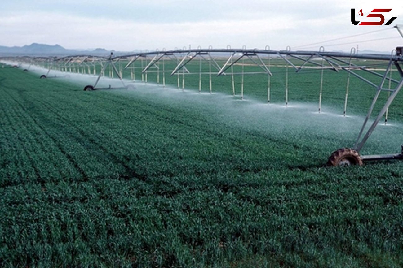 کنترل آبیاری محصولات کشاورزی با "فاضلاب خام"