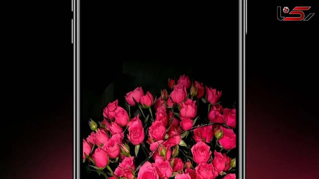 فال و طالع بینی روزانه 26 دی + فیلم 