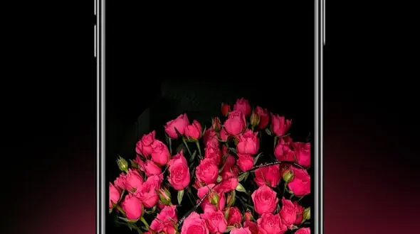 فال و طالع بینی روزانه 26 دی + فیلم 