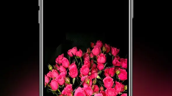 فال و طالع بینی روزانه 26 دی + فیلم 