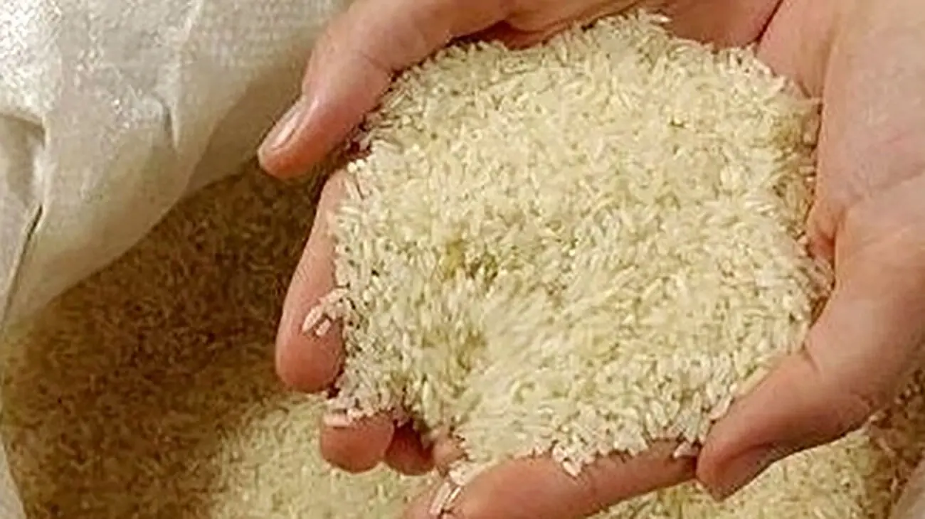 نرخ رسمی برنج ایرانی اعلام شد