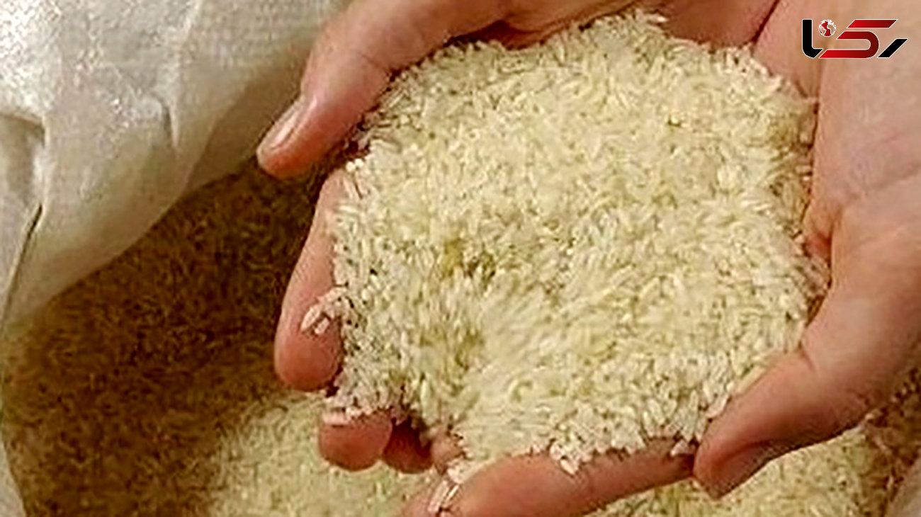 قیمت برنج ایرانی و خارجی امروز 31اردیبهشت