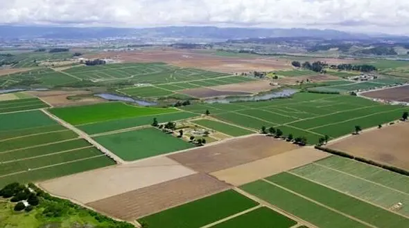 طرح کاداستر در ۹۸ درصد اراضی ملی لرستان اجرا شد