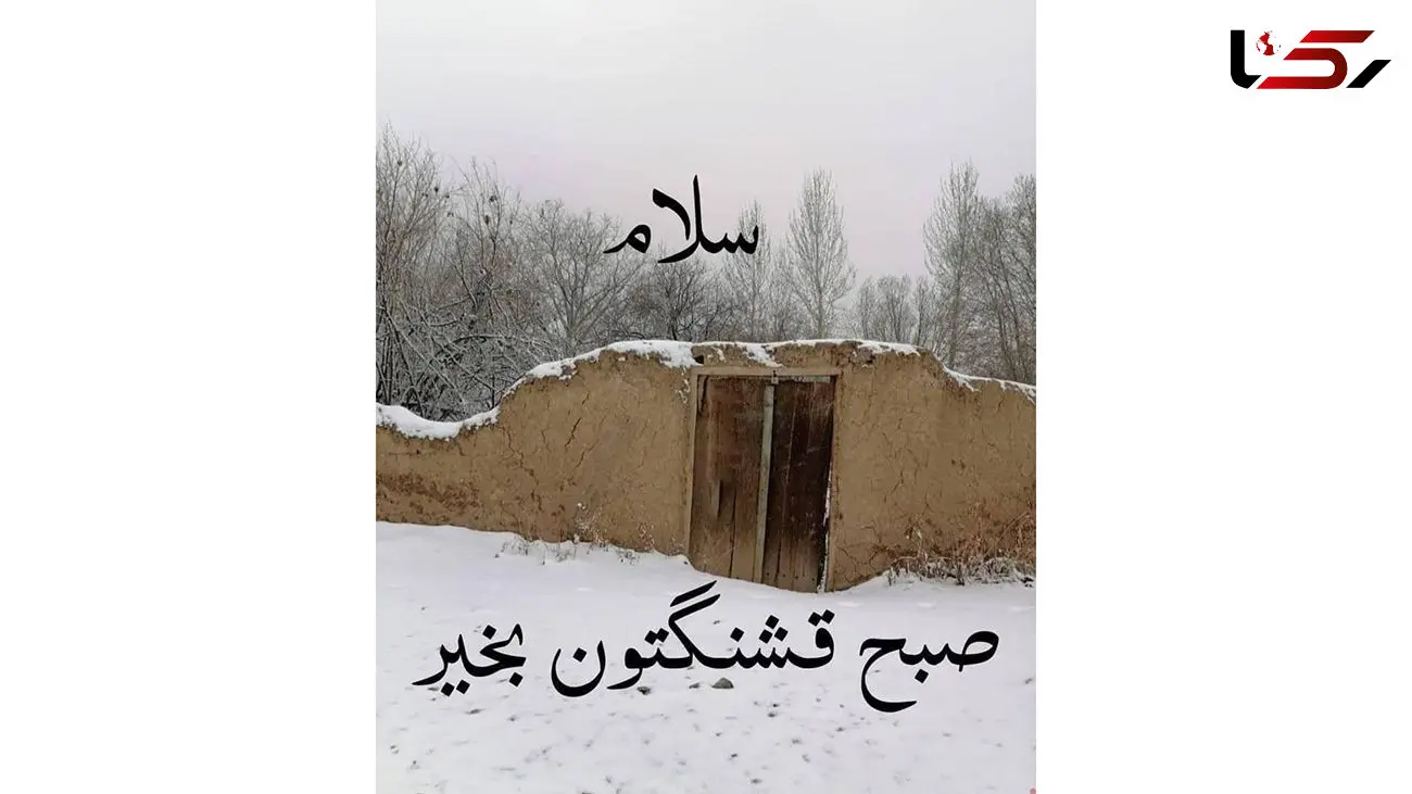 فال روزانه شخصی / 17 دی ماه + فیلم