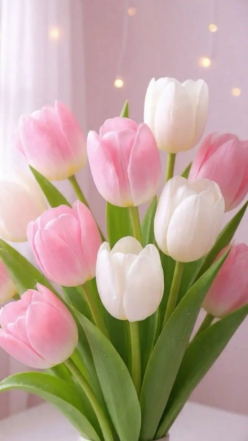 گل زیبا
