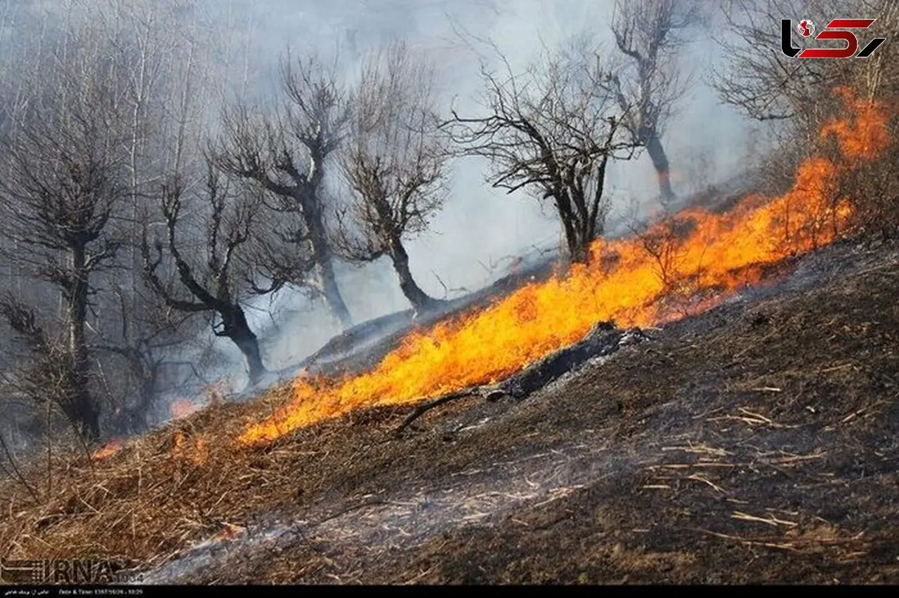 آتش سوزی جنگل های تالش مهار شد