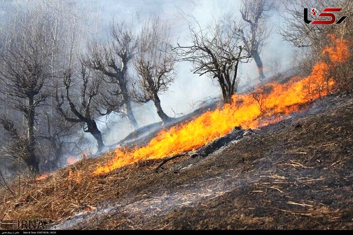 آتش در پارک ملی گلستان خاموش شده است/ نیروهای ما تا صبح در محل هستند