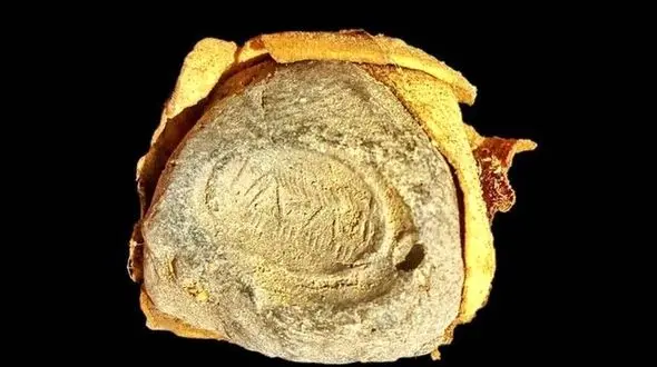 این اثر باستانی در موزه تاریخ ساری رونمایی می شود