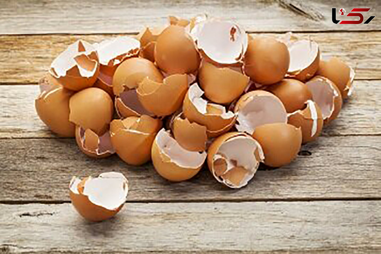 کشف محموله 8 تنی تخم مرغ غیر بهداشتی در مشهد