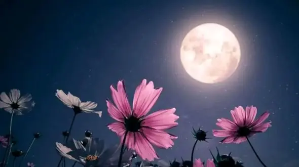 ماه کامل امسال: شگفتی بزرگترین و نزدیک‌ ترین ماه در آسمان