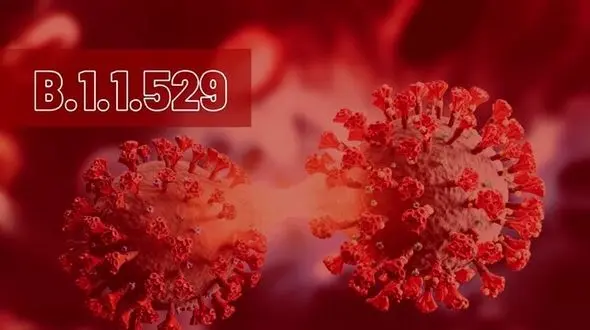 سویه امیکرون چه علائمی دارد؟