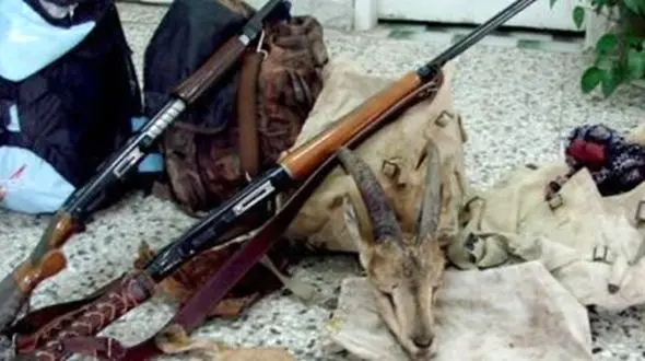 بازداشت اعضای باند کشتار حیات وحش در بندرخمیر