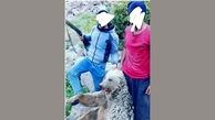 بازداشت عامل کشتار خرس در ماکو + جزییات