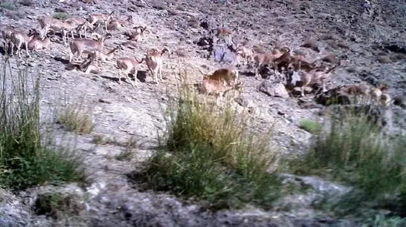 
ضرورت بازنگری در بودجه محیط زیست
