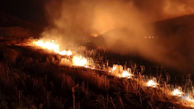 فیلم تاسفبار از آتش سوزی مزارع کشاورزی آبدانان ! / خانه خراب شدیم !