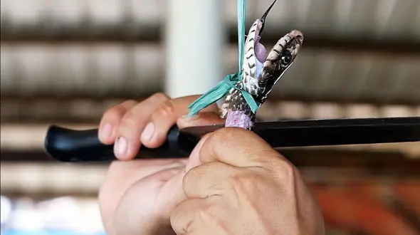 سفر به دل غذای خیابانی ویتنام؛ از مار تا برنج سرخ شده در هانوی / فیلم