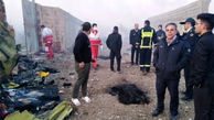 جدیدترین جزئیات درباره حادثه هواپیمای اوکراینی / نظارت ایران بر خوانش جعبه سیاه + عکس وفیلم
