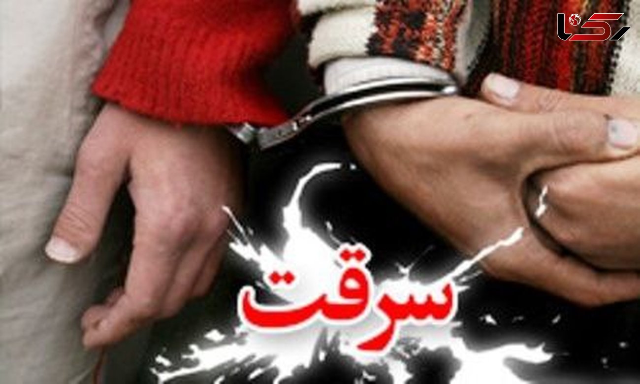 دستگیری سارقان سیم کابل در"ملکان" 