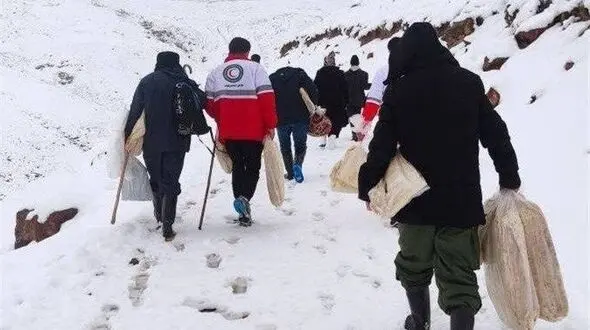 تلف شدن 1000 راس دام عشایر اهر بر اثر برف و کولاک بهاری