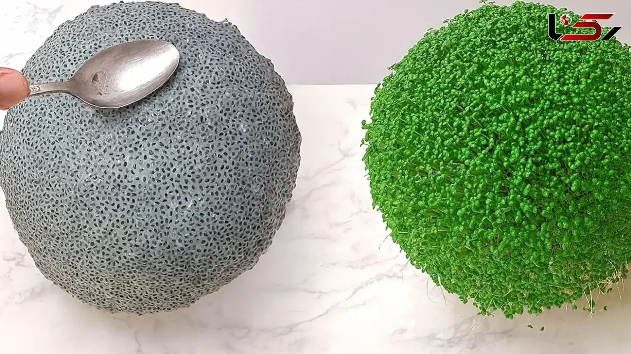 فیلم کاشت سبزه تخم شربتی برای نوروز امسال