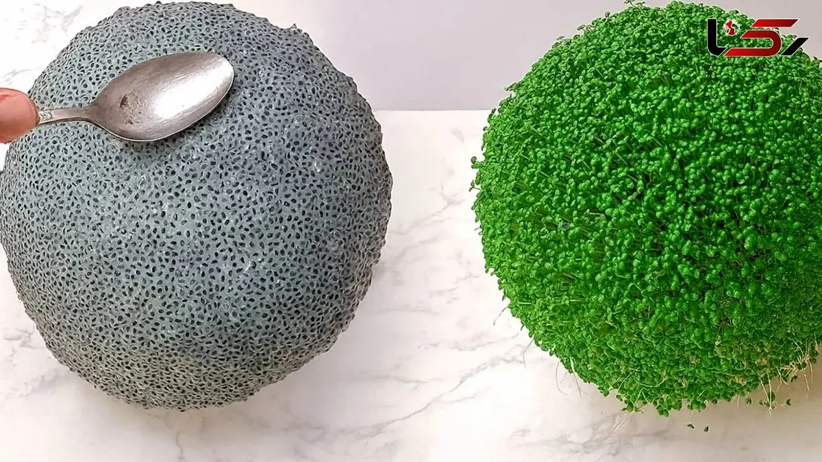 فیلم کاشت سبزه تخم شربتی برای نوروز امسال